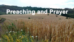 A field of wheat in Cornwall with the title "Preaching and Prayer".